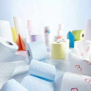 Paper Sanitary Supplies